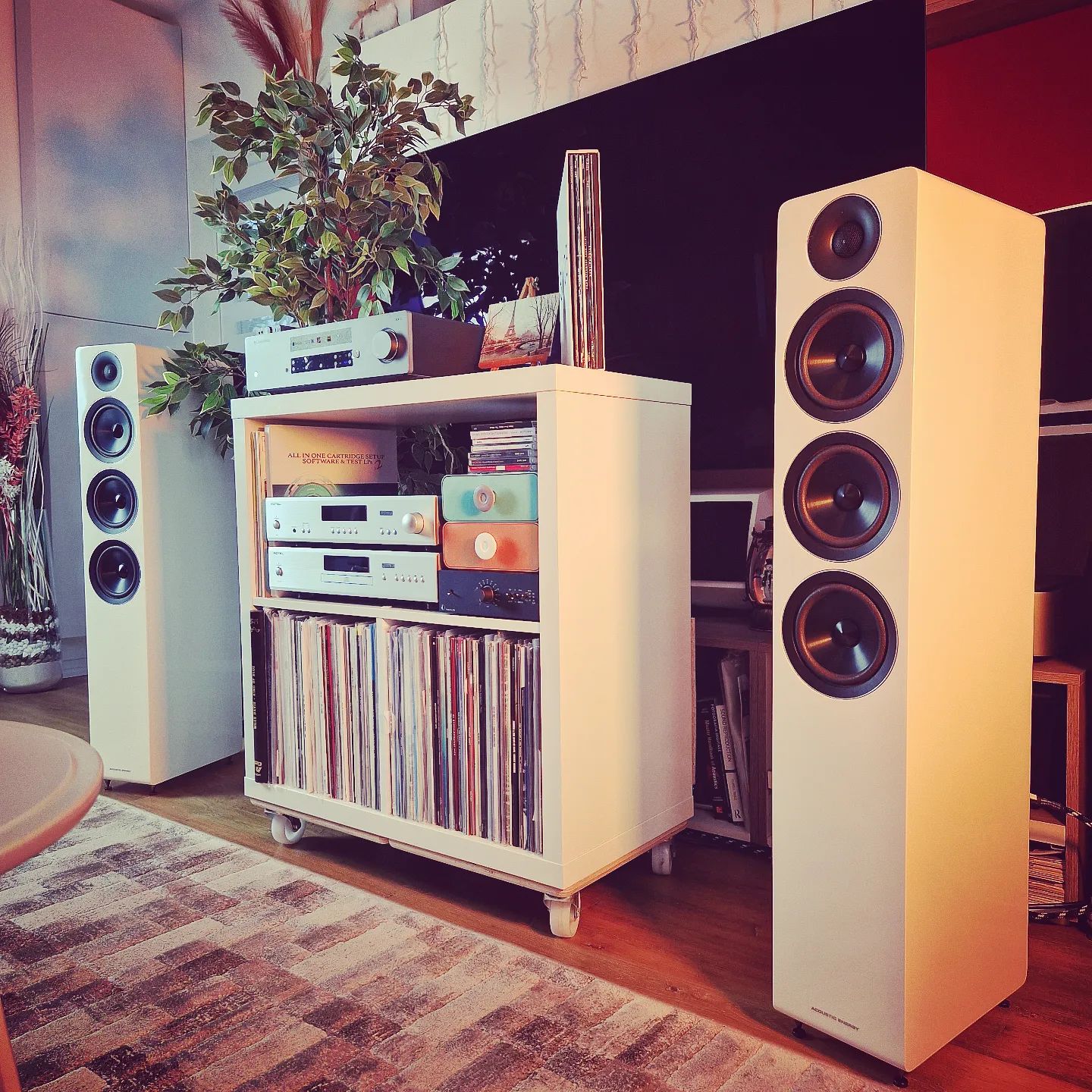 MAD Audio (Germany) review the AE320 MAD Audio (Germany) review the AE320
