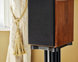AE1 40th Anniversary (Walnut, In-room)