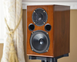 AE1 40th Anniversary (Walnut, In-room)