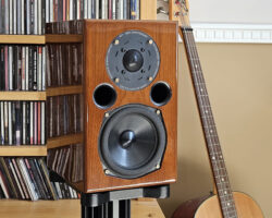 AE1 40th Anniversary (Walnut, In-room)