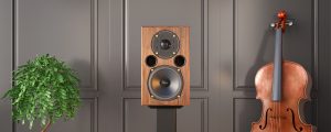 Acoustic Energy AE1 40th Anniversary Edition (Walnut)