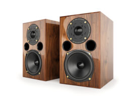 AE1 40th Anniversary (Walnut)