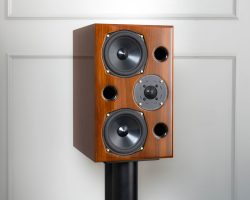 AE2 40th Anniversary (Walnut, Angled, Studio)