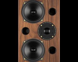 AE2 40th Anniversary (Walnut, Black Background)