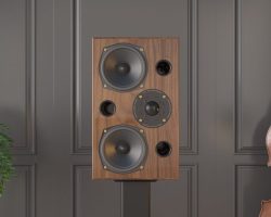 AE2 40th Anniversary (Walnut, Room Scene) AE2 40th Anniversary (Walnut, Room Scene)