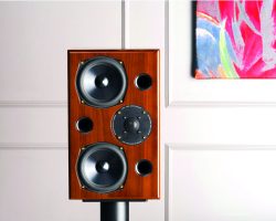 AE2 40th Anniversary (Walnut, Studio)