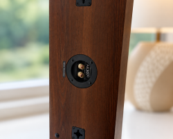AE307² Walnut (Rear VIew, Vertical)