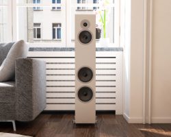 Acoustic Energy AE320² Web Header (Matte White, No Grille)