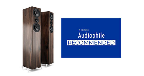 A British Audiophile A British Audiophile Recommends the AE309
