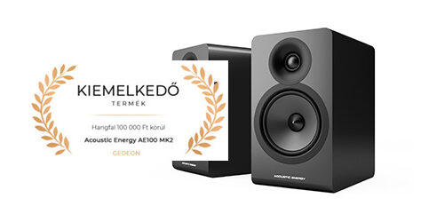 Gedeon Audio awards the AE100 an Outstanding