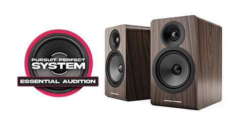 Pursuit Perfect System award the AE100 an Essential Audition badge